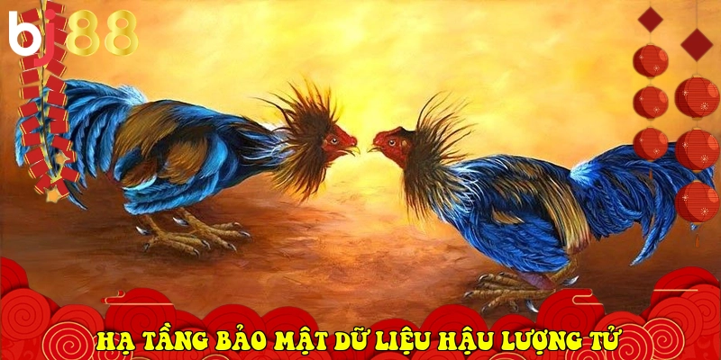 hạ tầng bảo mật dữ liệu hậu lượng tử